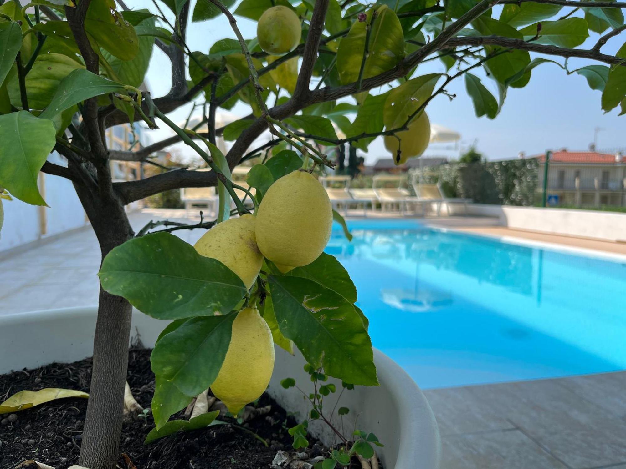 Hotel Renata Lazise Eksteriør billede